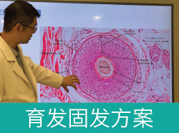 髻尚坊育发固发方案