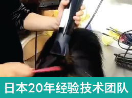 日本20年经验技术团队